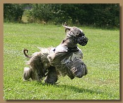 Kopie von IMG_9141.JPG