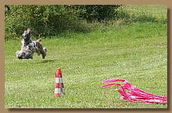 Kopie von IMG_9184.JPG