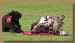 Kopie von IMG_9195.JPG