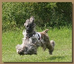 Kopie von Kopie von IMG_9184.JPG