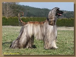 cac_schwarzenfeld 151b.jpg