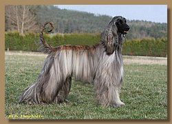 cac_schwarzenfeld 158b.jpg