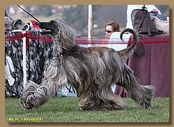 cac_schwarzenfeld 190.jpg