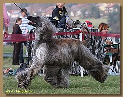 cac_schwarzenfeld 191b.jpg